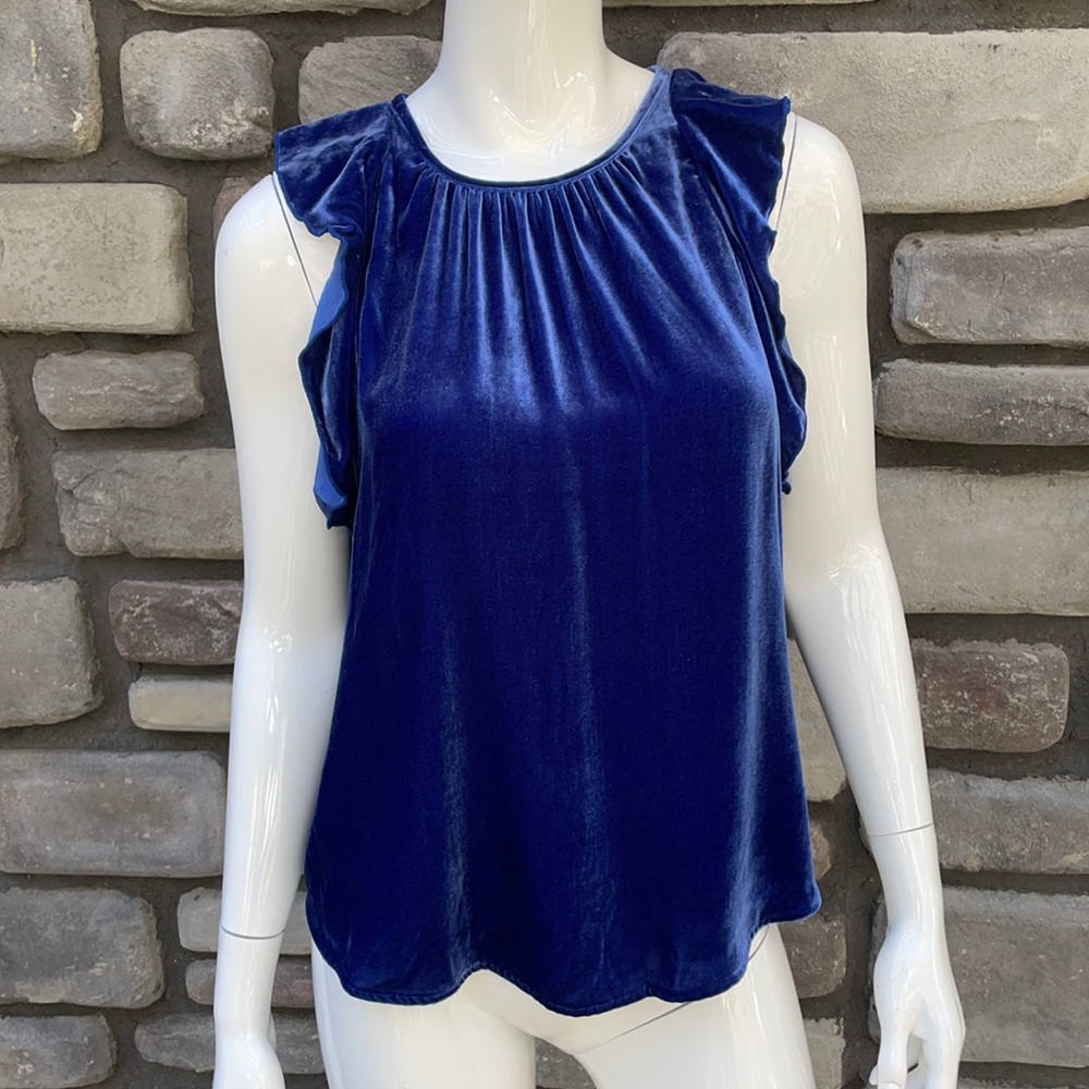 Gap Velvety Flutter Sleeve Top NWT sz S - Picture 1 of 6